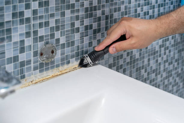 Best Same-Day Mold Removal  in Buckhead, GA